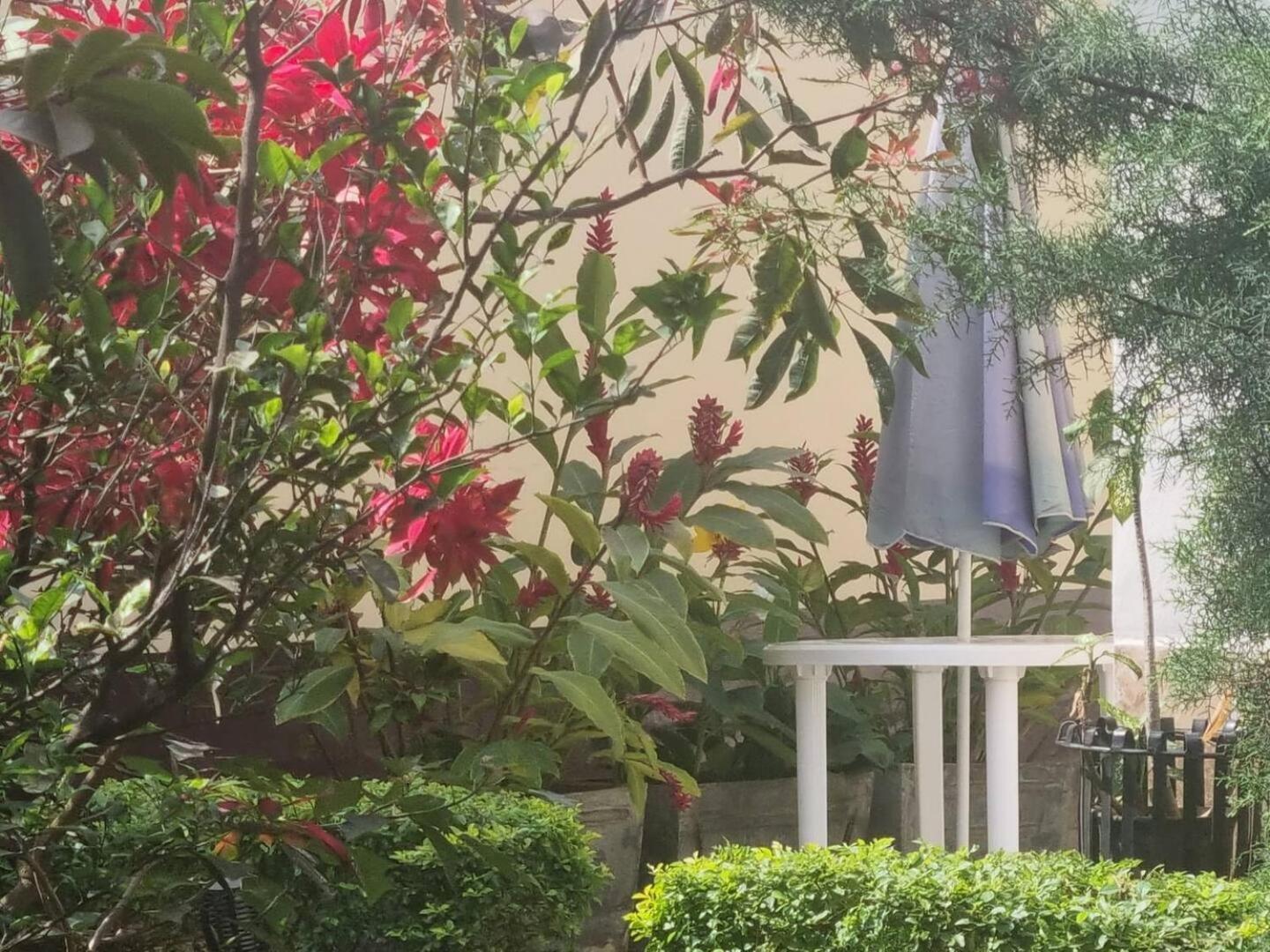 Tout Confort Avec Jardin Entree Bastos Yaounde Exterior photo